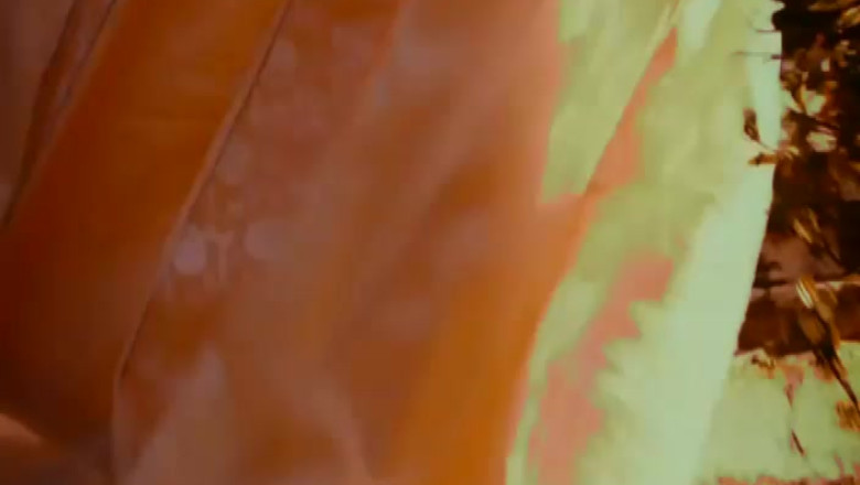 JURNAL DE FESTIVAL. Teatru, muzica si poezie in cea de-a saptea zi a Festivalului Shakespeare  Imagine