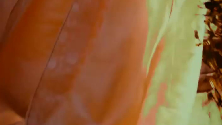 JURNAL DE FESTIVAL. „Visul unei nopti de vara” Imagine