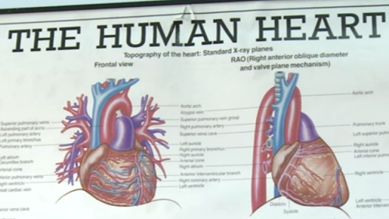 JURNALUL DE SEARA. Radu Deac: Dorin Florea, primarul Targu Muresului, printre vinovatii de inchiderea Institutului Inimii Imagine