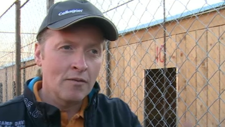 Kelly Family ajuta maidanezii din Romania Imagine