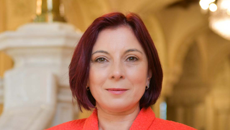 Klaus Iohannis a numit un nou consilier prezidential pe probleme constitutionale. Anisoara Ancu a mai ocupat aceasta functie Imagine