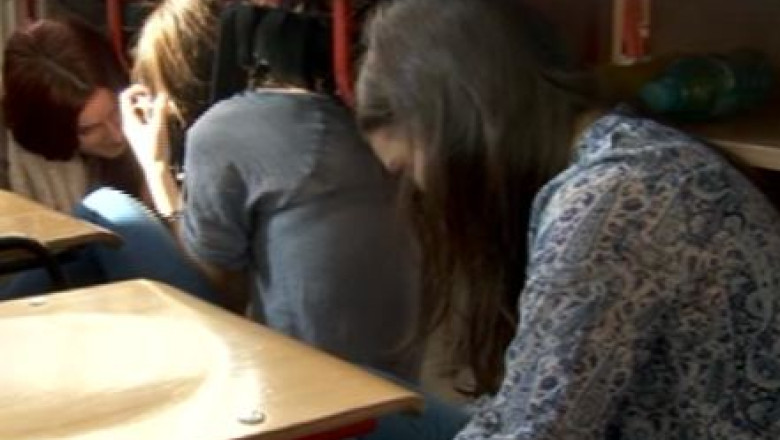 L. Orban: Posibilitatea de a fi protejat in caz de cutremur de bancile de la scoala e minima Imagine