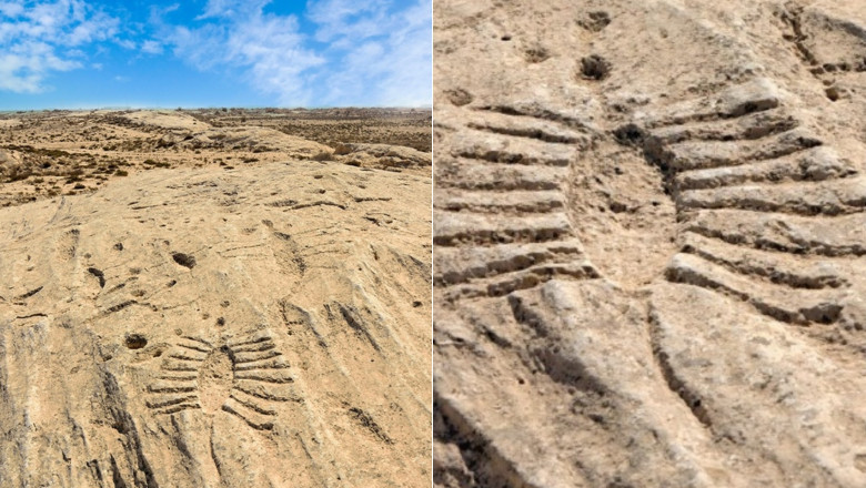 La ce erau folosite simbolurile misterioase descoperite in desertul din Qatar. „Nu mai pot fi gasite niciunde altundeva” Imagine