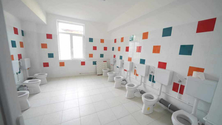 La Craiova s-au inventat WC-urile de socializare. Lia Olguta Vasilescu s-a laudat cu ele pe Facebook si apoi a sters fotografiile Imagine