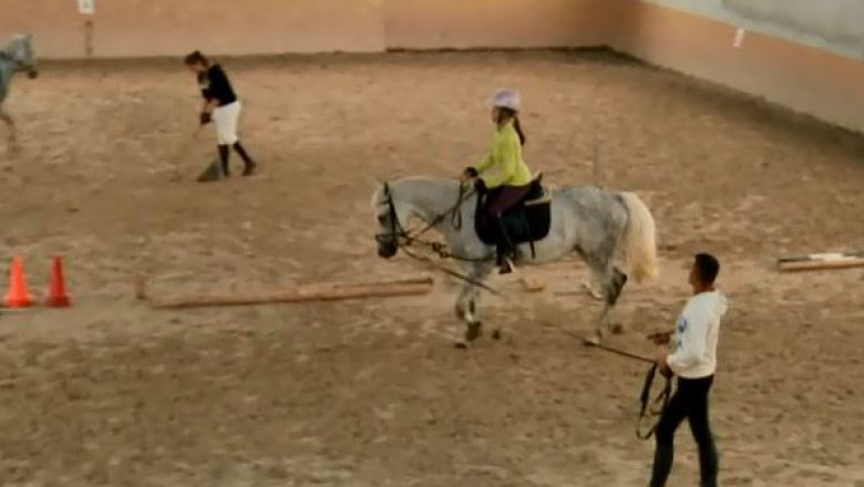 La Feleacu, in galop sau la trap Imagine