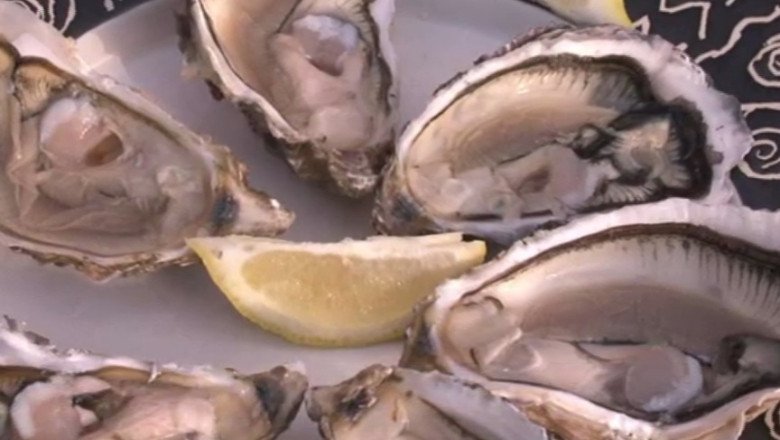 La fragezit in Monaco. Fermierii francezi trimit scoicile in Principat, pentru o hrana speciala Imagine