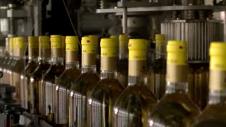 La Iasi se afla singura podgorie din tara care are numai soiuri romanesti Imagine