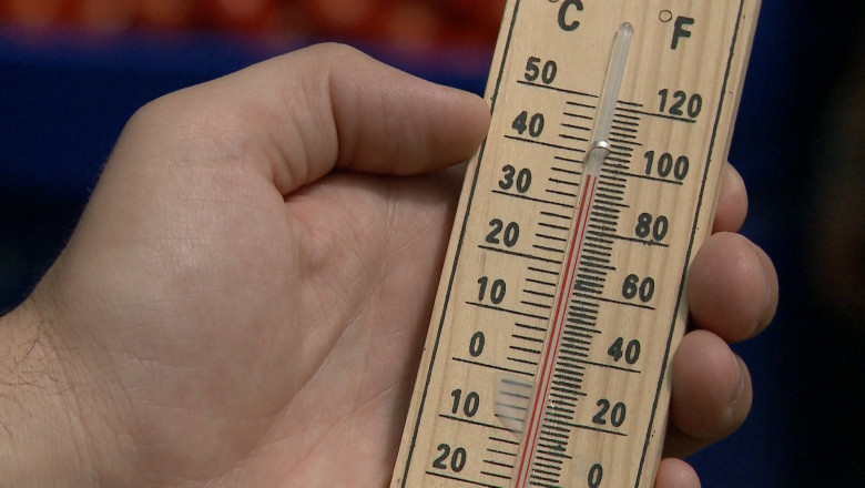 La piata, ca-n sera. In hala de legume din piata oradeana Cetate, temperaturile ajung la 40 de grade Imagine