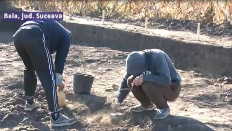 La Suceava a fost descoperita cea mai mare locuinta care dateaza din prima faza a culturii pre-Cucuteni Imagine