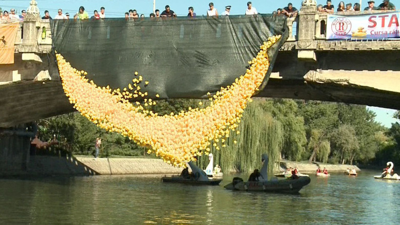 La Timisoara, Bega s-a facut Bulevard pentru celebra Cursa a Ratustelor Imagine