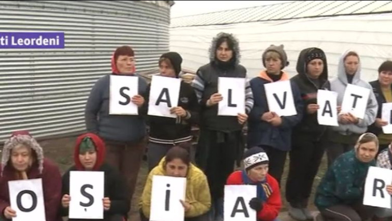 Lacat pe serele de la Popesti-Leordeni. De aici vin 50% din legumele vandute in magazinele din Capitala Imagine