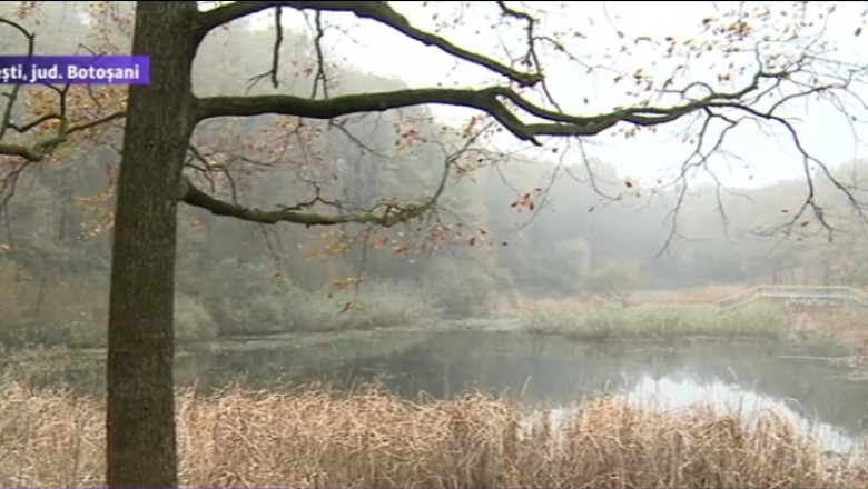 „Lacul cu nuferi” al lui Eminescu, un fals comunist Imagine