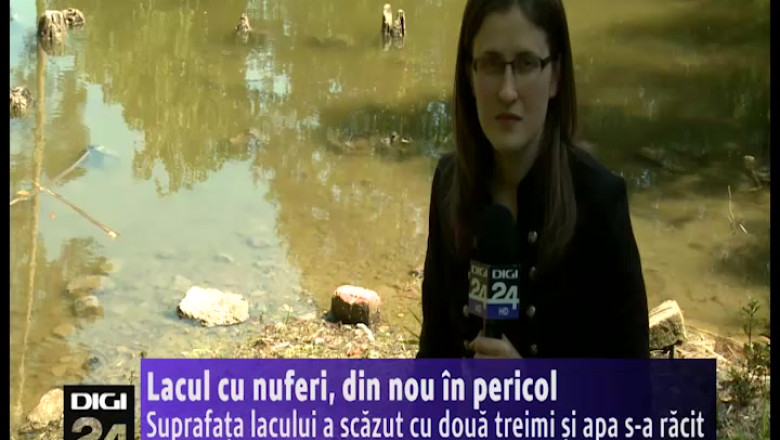 Lacul cu nuferi din Baile 1 Mai, din nou in pericol  Imagine