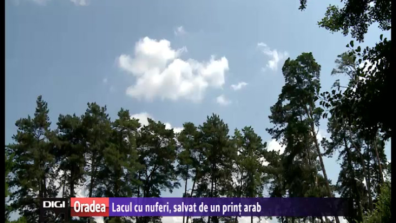 Lacul cu nuferi, salvat de un print arab Imagine