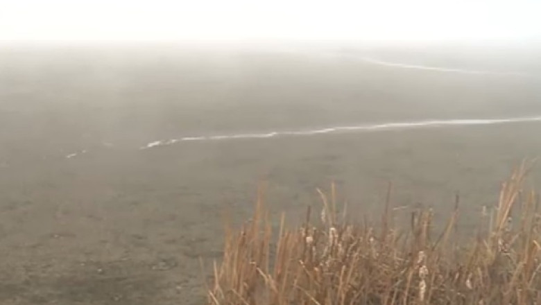 Lacul Paleu de langa Oradea a disparut aproape complet din cauza secetei Imagine