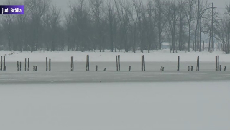 Lacul sarat din Braila a inghetat Imagine