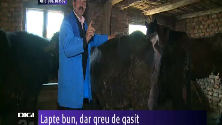 Lapte bun, dar greu de gasit Imagine