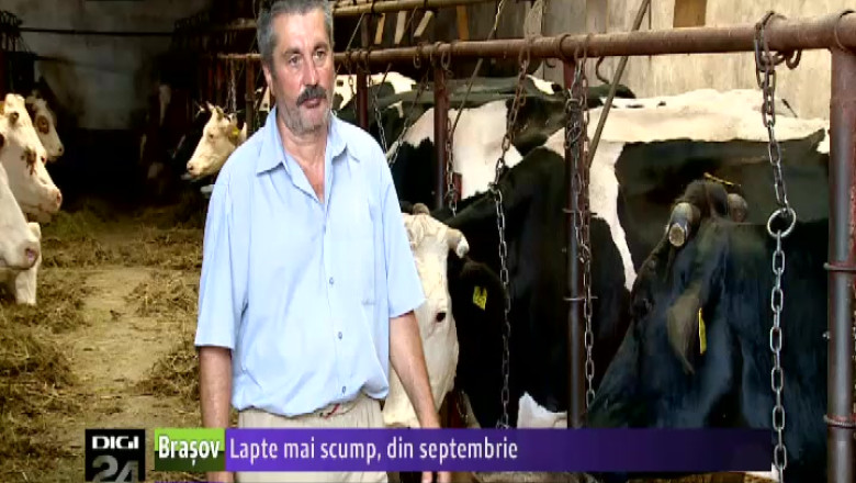 Lapte mai scump, din septembrie  Imagine