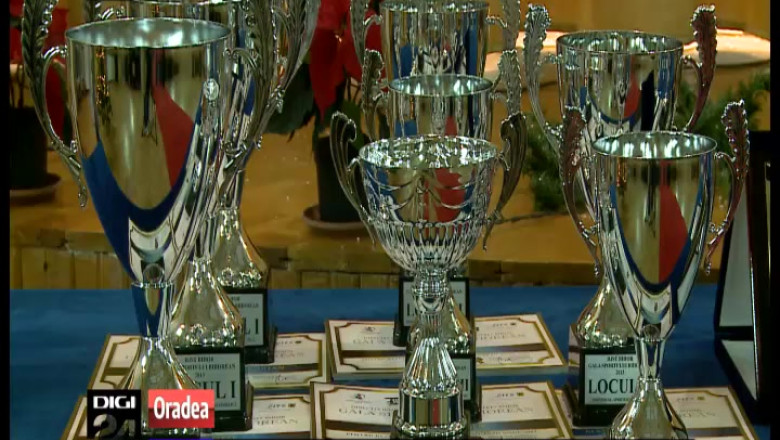 Larisa Florian, excelenta sportului bihorean in 2013 Imagine