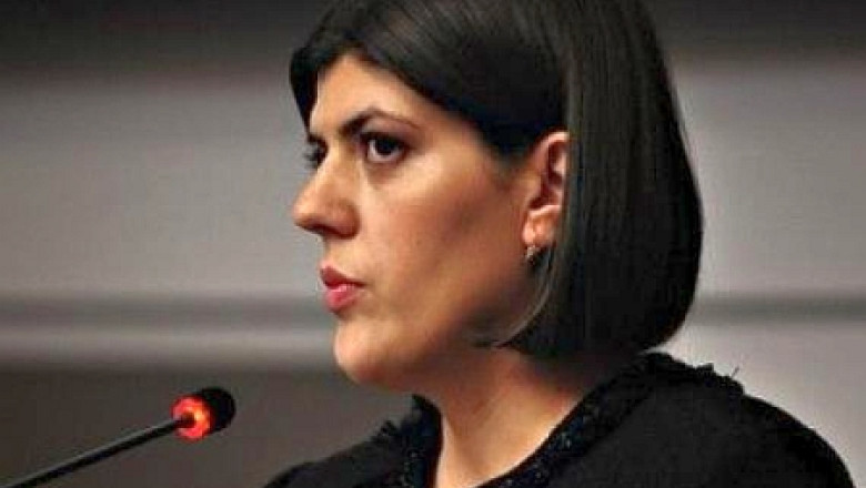 Laura Codruta Kovesi: Un om de afaceri disperat ca i se cere mita a trimis denuntul prin fax / Desi avertizati, unii urmariti comit in continuare fapte penale Imagine