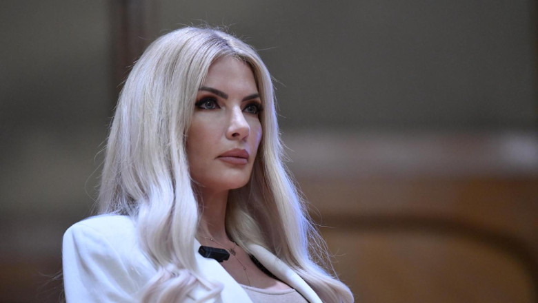 Laura Vicol, sotia actionarului principal Nordis, mesaj pe Facebook, in timpul perchezitiilor DIICOT Imagine