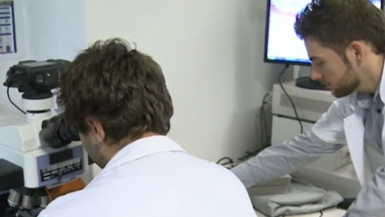 Leacul pentru cancer ar putea fi gasit la Timisoara Imagine