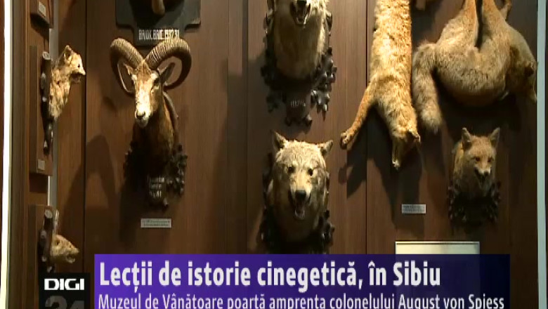 Lectii de istorie cinegetica. Exponatele Muzeului de Vanatoare Sibiu poarta amprenta colonelului August von Spiess Imagine
