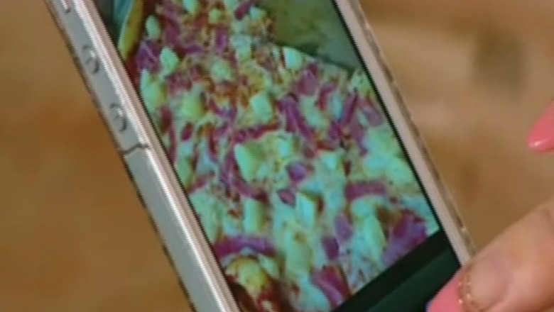 Leftover Swap. Resturile alimentare pot fi donate prin smartphone Imagine