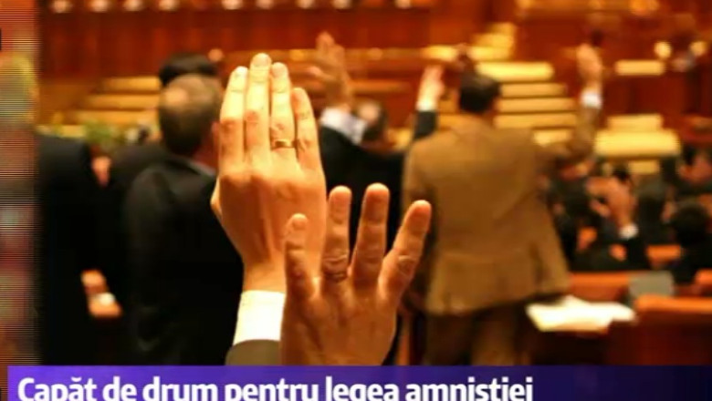 Legea amnistiei devine amintire. Replici memorabile in Parlament Imagine