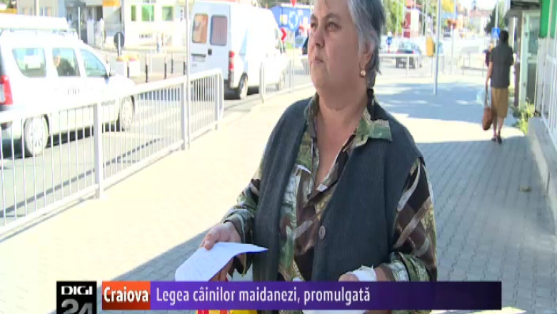 Legea cainilor maidanezi, promulgata. Autoritatile locale din Craiova sunt de acord cu noul act normativ Imagine