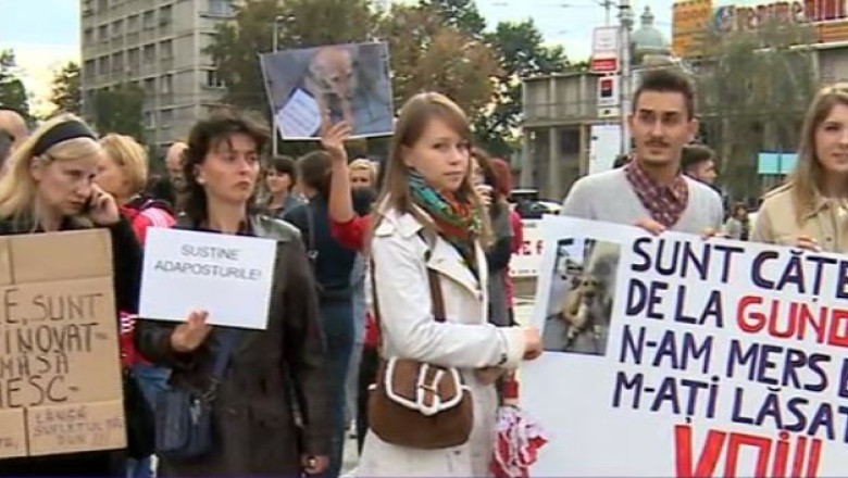 Legea eutanasierii, contestata in strada la Iasi Imagine