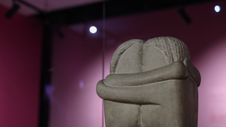 Legea pentru instituirea lui 2026 ca Anul Constantin Brancusi, promulgata Imagine