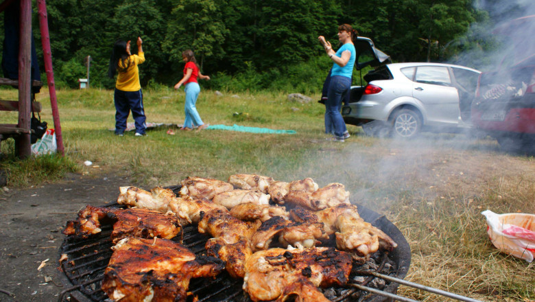 Legea picnicului e in vigoare de mai bine de un an, dar spatiile amenajate pentru gratare sunt inexistente sau insuficiente Imagine