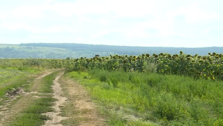 Legea privind vanzarea terenurilor agricole ii dezavantajeaza pe tineri Imagine