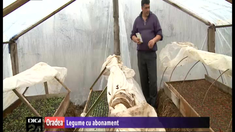 Legume cu abonament. Agricultorii din Bihor le propun orasenilor sa se aboneze la produsele lor Imagine