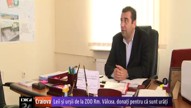 Leii si ursii de la Gradina Zoologica din Rm. Valcea, donati pentru ca sunt urati Imagine