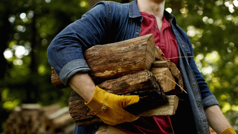 Lemnele de foc, mai scumpe anul acesta. Cu cat au crescut costurile pentru incalzirea unei locuinte in sezonul rece: „Nu avem de ales” Imagine