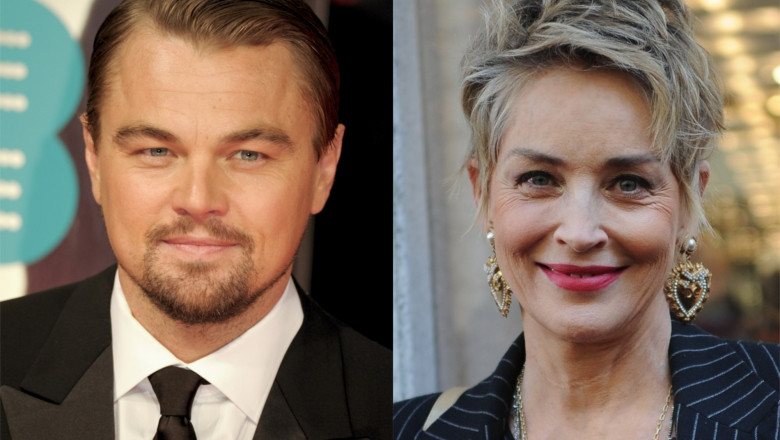 Leonardo DiCaprio ii e recunoscator pe viata lui Sharon Stone. Cum l-a ajutat actrita Imagine