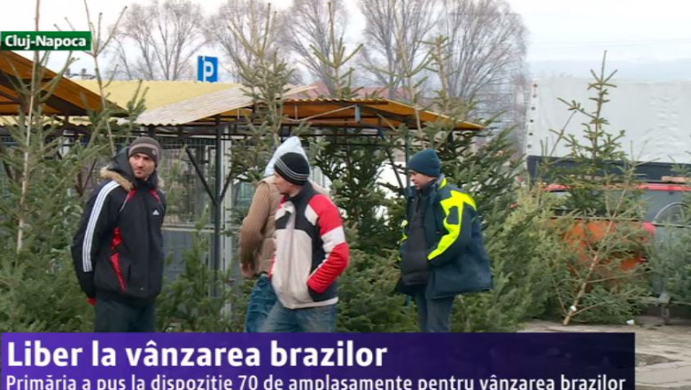 Liber la vanzarea brazilor Imagine