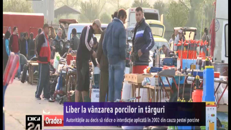 Liber la vanzarea porcilor in targurile din Bihor. Autoritatile au ridicat o interdictie aplicata in 2002 din cauza pestei porcine Imagine