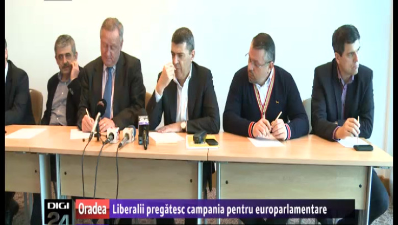 Liberalii pregatesc campania pentru europarlamentare Imagine