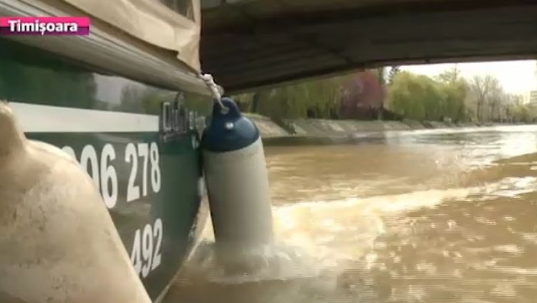 Licitatia pentru vaporetto, un esec. Nicio companie nu a fost interesata de oferta Primariei Timisoara Imagine