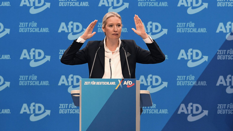 Lidera extremei drepte germane cere inchiderea imediata a granitelor tarii, dupa atacul din Aschaffenburg Imagine
