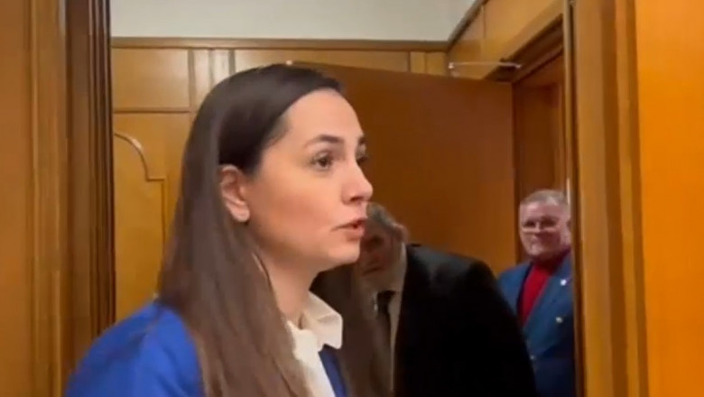 Lidera POT, Anamaria Gavrila, acuza PSD de santaj si presiuni asupra membrilor de partid. Reactia lui Marcel Ciolacu Imagine