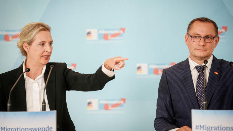 Liderii AfD se plang ca seful Serviciului german de informatii interne denigreaza partidul cand afirma ca raspandeste ura Imagine
