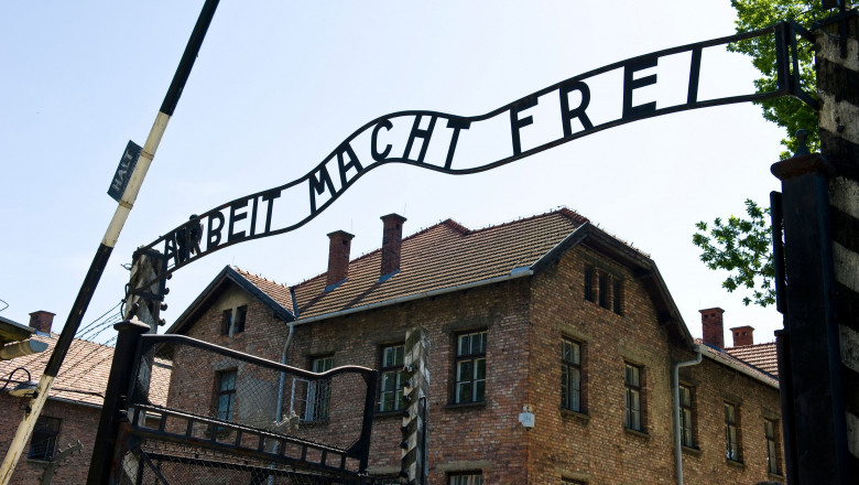 Ligia Deca, despre introducerea cursului „Istoria evreilor. Holocaustul”: Doar prin educatie tinerii pot combate retorica extremista Imagine