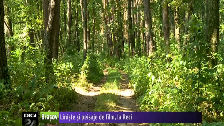 Liniste si peisaje de film, la Reci Imagine