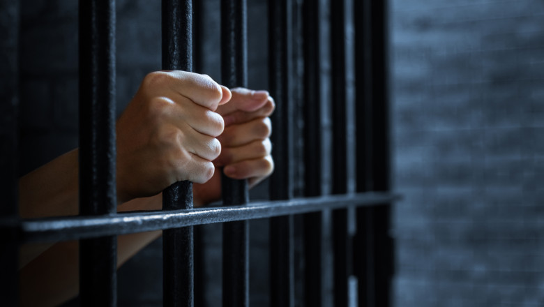 Lista fugarilor de lux ai Romaniei se mareste. Cine sunt condamnatii care au scapat de inchisoare fugind in strainatate Imagine