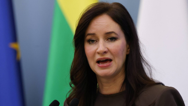 Lituania va dobori baloanele care i-au invadat cerul: „Sunt provocari calculate, menite sa destabilizeze si sa testeze hotararea NATO” Imagine