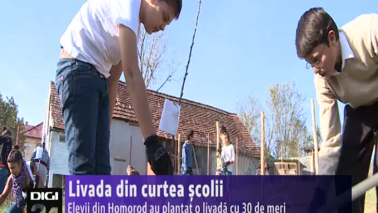  Livada din curtea scolii Imagine